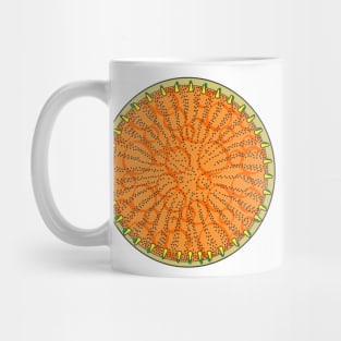 Diatom - Stephanodiscus coruscus (artwork) Mug